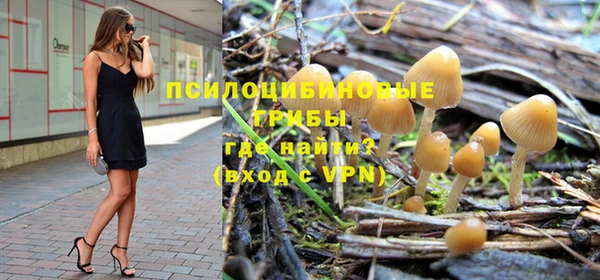 метадон Новодвинск