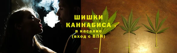 не бодяженный Новозыбков