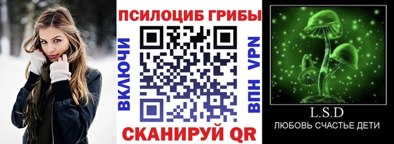 Псилоцибиновые грибы Psilocybe  Динская 